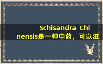 Schisandra  Chinensis是一种中药，可以滋养心脏，肝脏，脾脏，肺，肾脏和五个内脏，身体越来越好